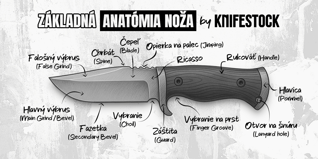 anatomia-noza